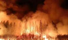 سلطات المغرب أعلنت عن برنامج لإعادة تشجير 9330 هكتار تضررت من الحرائق