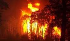 رياح شديدة تؤجج حرائق الغابات في تركيا