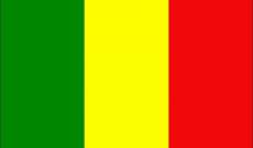 الجيش المالي يعلن مقتل 10 جهاديين قرب الحدود مع بوركينا فاسو
