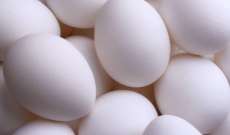تناول بيضة واحدة يوميا يقي من السكتات الدماغية 