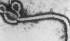 شفاء الممرضة الاسبانية من فيروس "ايبولا"