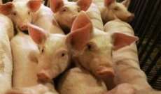 جيروزاليم بوست:مستشفى بإسرائيل استقبلت 4حالات مصابة بانفلونزا الخنازير