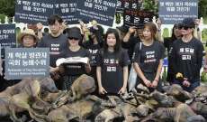 حكومة كوريا الجنوبية تدرس حظر تناول لحوم الكلاب