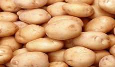 مزارعو البطاطا في عكار اعتصموا احتجاجا على إغراق الأسواق بالاستيراد