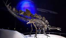 اكتشاف ديناصور ينتمي إلى جنس كان موجودًا منذ حوالي 168 مليون عام