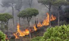 النيران مازالت مشتعلة في أحراج الدبية وبعاصير في اقليم الخروب