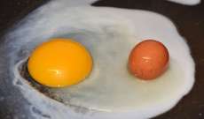 العثور على بيضة داخل بيضة