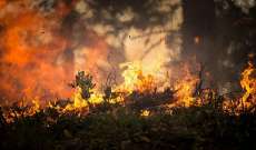 إخماد 51 حريق غابات في روسيا خلال الـ24 ساعة الأخيرة