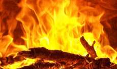 الدفاع المدني: اندلاع النيران في احراج ساحل علما