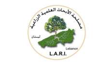 مصلحة الأبحاث العلمية الزراعية: احتمال وصول الجراد إلى لبنان صعب حاليا