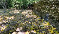 منبع نهر التيمز البريطاني في أشد حالات جفافه مع اقتراب موسم الجفاف