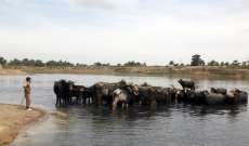 مسؤولون عراقيون: تراجع كبير في منسوب نهر سيروان بسبب قلة الأمطار وسدود في إيران