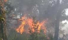 حريق كبير بأشجار حرجية في خراج بلدة سفينة القيطع بعكار والدفاع المدني حضر لإخماده مع الاهالي
