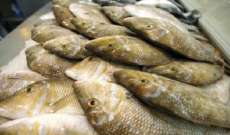 نقابة بائعي الاسماك: شمول الاسماك بالدولار الجمركي سيؤدي الى ارتفاع الاسعار بشكل كبير