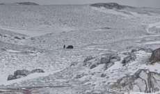 الدفاع المدني: إنقاذ 4 مواطنين بينهم طفل حاصرتهم الثلوج على مرتفعات بسكنتا- جرود صنين