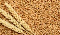 نقيب أصحاب الافران: موافقة البنك الدولي على القرض الطارىء لاستيراد القمح تريحنا لستّة أشهر تقريباً