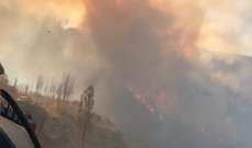 دكاش ناشد قيادة الجيش بإرسال طوافات للمساعدة بإخماد حريق عين الدلبة