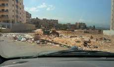 النشرة: عمال بلدية طرابلس سحبوا الابقار من شوارع المدينة