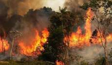في صحف اليوم: اعتماد على المبادرات لمواجهة الحرائق وياسين يؤكد تراجع المساحات المحترقة بنسبة 91%
