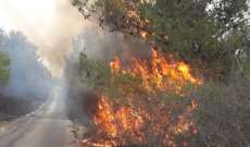 الدفاع المدني: السيطرة على النيران في أحراج المروج غربي بلدة علما الشعب
