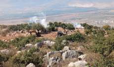 المنار: الجيش رد بإلقاء قنابل دخانية على جنود اسرائيليين اعتدوا سابقا برمي قنابل بمزرعة بسطرة
