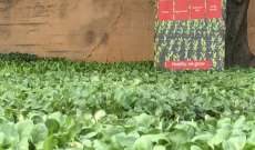 منظمة مالطا في لبنان أطلقت مشروعًا زراعيًّا دعمًا للمزارعين الصغار 