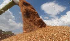 الوكالة الأميركية للتنمية: نعمل مع أوكرانيا على خطة بديلة لإخراج صادرات الحبوب من البلاد