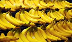 شرطة بريطانيا تحبط محاولة تهريب كمية من الكوكايين مخبأة بشحنة من الموز