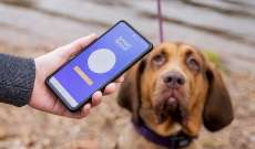 تطبيق جديد لمساعدة أصحاب الكلاب على تحديد موقع كلابهم الضائعة