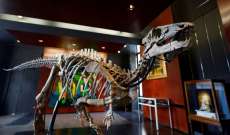 تسعه غرفة معيشة.. ديناصور صغير يُعرض للبيع بمزاد في باريس