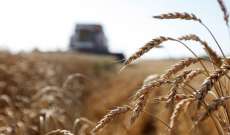 سلطات الهند وضعت قيودًا على تصدير الدقيق بعد النقص العالمي في مخزون القمح
