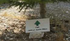 ناشطون من حاصبيا ومرجعيون يزرعون ارزة لشهداء المقاومة اللبنانية في ايليج