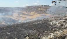 النشرة: اخماد حريق في حاروف الجنوبية اتى على مساحات واسعة من اشجار الزيتون
