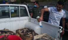 ملاحقة بائعي السمك الملوث في بيروت بتوجيهات من المحافظ