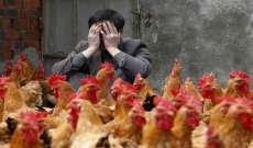 وزارة الزراعة الصينية: تفشي انفلونزا الطيور بعد الكورونا 