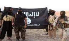 الحرب على "داعش" وعقم خيار الجيوش العربية (2)