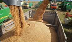 الحكومة الهندية حظرت تصدير القمح بسبب موجة حر شديدة أدت إلى تقليص الإنتاج