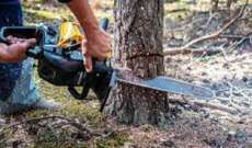 مركز الاحراج في حاصبيا: منع قطع الأشجار من الأملاك العامة تحت طائلة المسؤولية