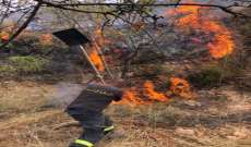 الدفاع المدني أخمد حريق في القبيات طال أشجارا حرجية ومثمرة