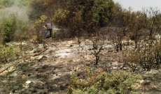 حريق في منيارة قضى على 1000 متر مربع من أشجار الزيتون