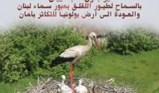 السفير البولوني بلبنان: طيور اللقلق مهددين عند مرورهم في سماء لبنان 
