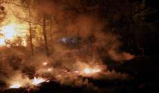 اندلاع حريق غابات في جنوب تركيا