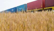 وزارة الزراعة الأوكرانية: مليونا طن من الحبوب هو الحد الأقصى الذي يمكن أن تستوعبه البنية التحتية الحالية