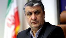 رئيس منظمة الطاقة الذرية الإيرانية: وفد من الوكالة الدولية للطاقة الذرية سيزور طهران خلال الأيام المقبلة