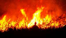 النيران تلتهم مئات الهكتارات في غابات جبال زاغروس في إيران