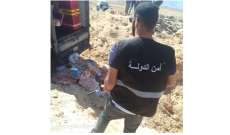 أمن الدولة في بعلبك- الهرمل تلفت شاحنتَين محملتين ببقايا عضوية للحيوانات وأوقفت سائقَيهما