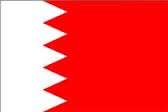 داخلية البحرين: القبض على عدد من المشتبه بهم بتفجير قرية الدراز الإرهابي 
