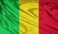 سبوتنيك: مقتل 31 مدنيا وإصابة 8 آخرين في هجوم إرهابي على حافلة بمالي