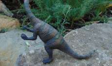 اكتشاف بقايا لحم ديناصور في الصين