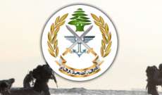 الجيش اللبناني: عملنا على توقيف المتورطين في إشكال وادي الجاموس وعاد الوضع إلى ما كان عليه